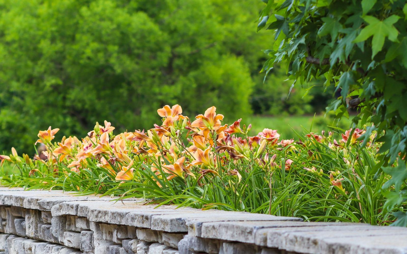 Retaining walls in Cedar Rapids, IA by Cedar Rapids Retaining Walls